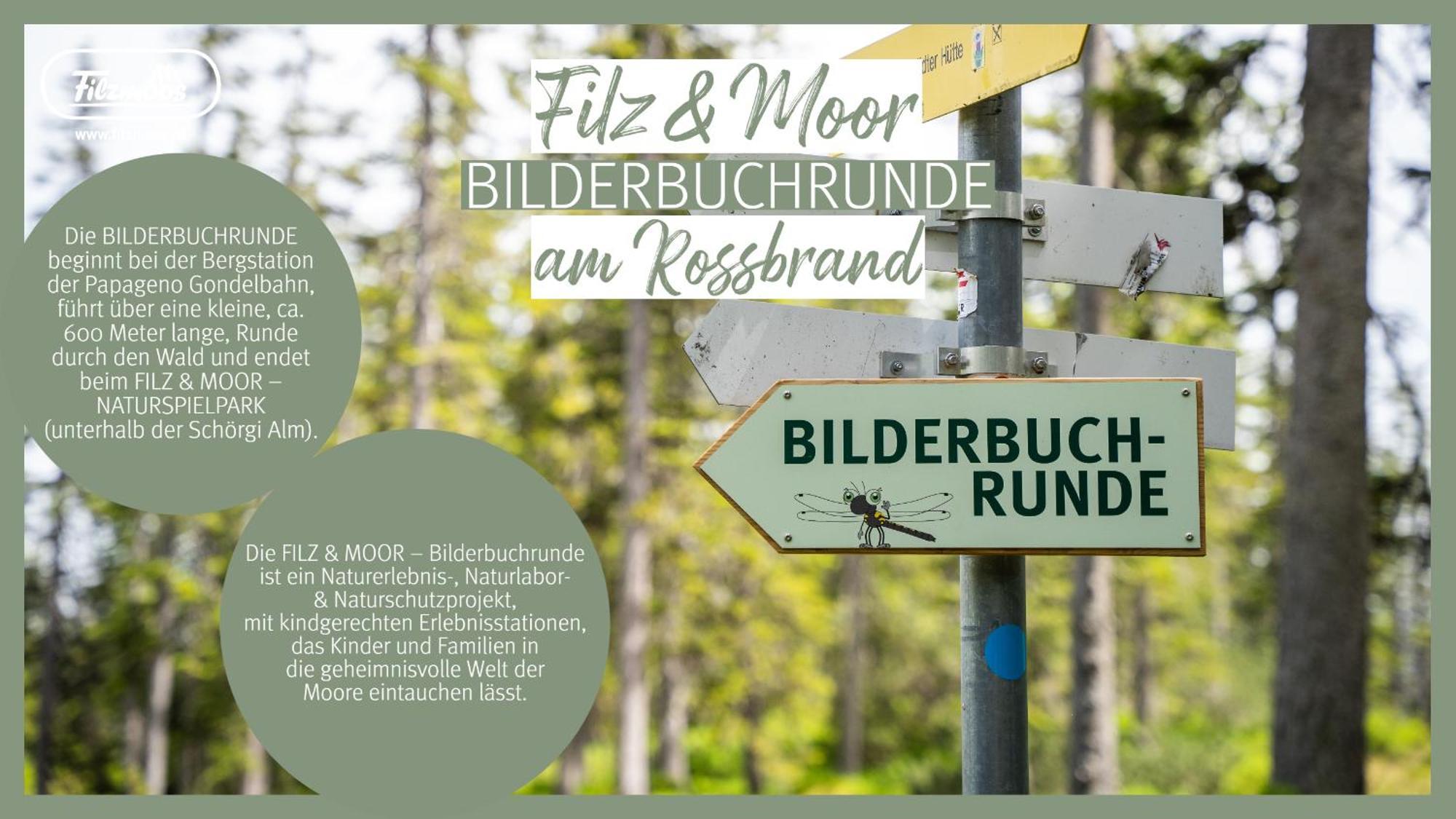 Appartement Schoerghofer Filzmoos Buitenkant foto